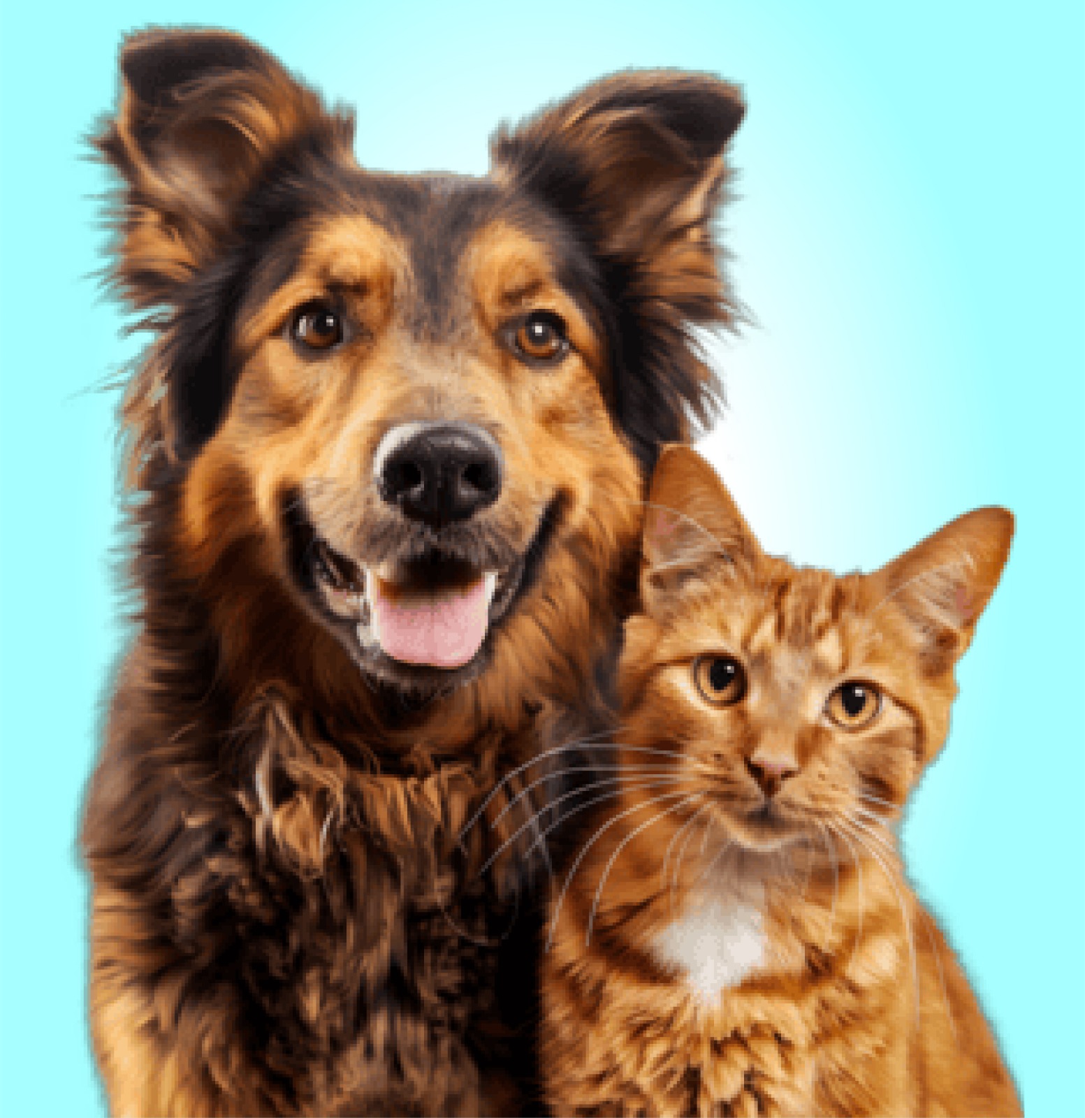 A smiling brown dog beside a ginger cat